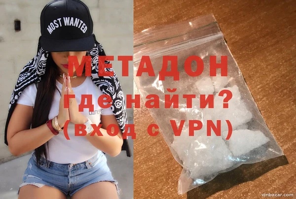сатива Новозыбков