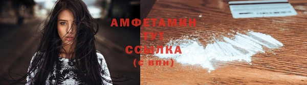 сатива Новозыбков