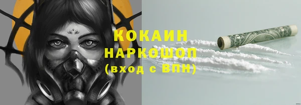 ПСИЛОЦИБИНОВЫЕ ГРИБЫ Нея