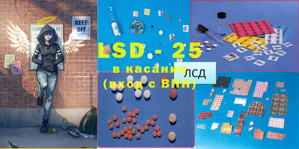 сатива Новозыбков
