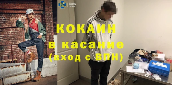 сатива Новозыбков