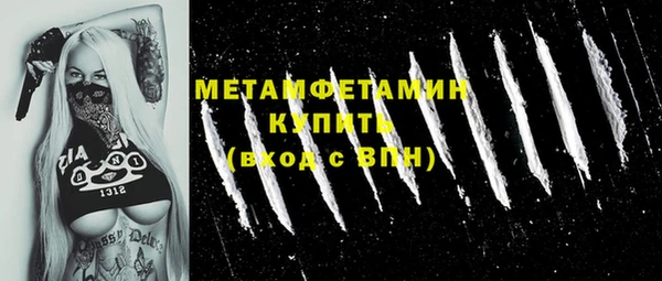 сатива Новозыбков