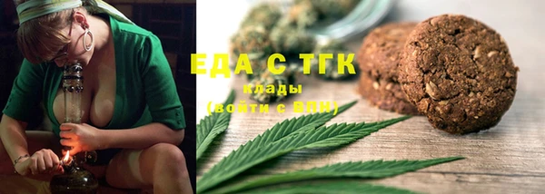 сатива Новозыбков